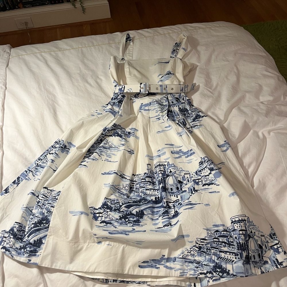 White House Black Market Toile Party Dress